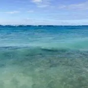 はずの画像