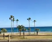 UMIの画像