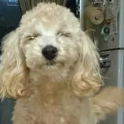 ココナ