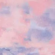 Pooちゃんの画像