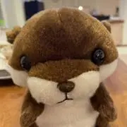 ママ✨️の画像