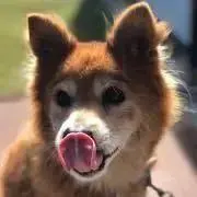 きらきらの画像