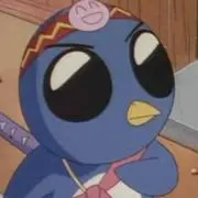 ぴぴの画像