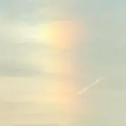 たまこの画像