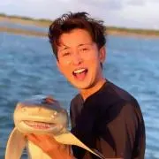 くまの画像