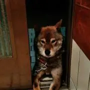 Mari　プロフ必読(*^^*)