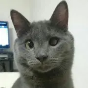 アキ