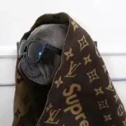 Wishの画像