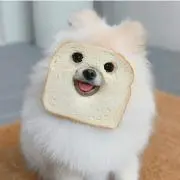 タッキー