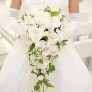litの画像