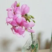 あらみ