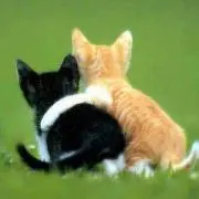 あおい ☆プロフお読みください(^^)の画像