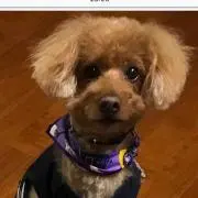 さゆり 表示切り替えおすすめします❤️✨の画像