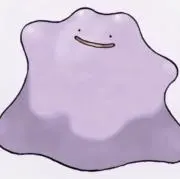 めたもんの画像