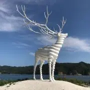 kameの画像