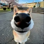 yuの画像