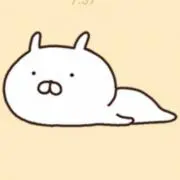 \みかん/の画像