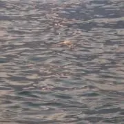 smleの画像