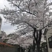 たぬ
