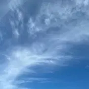 ちーずの画像