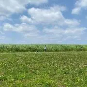 Souの画像