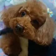 jyonmamaの画像