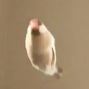 ♡はるめろ♡の画像