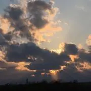 Dedeの画像