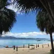 ピーの画像
