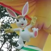 うさぎの画像