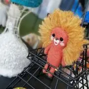 ライオンの画像