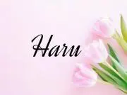 Haru