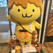 ぴの画像