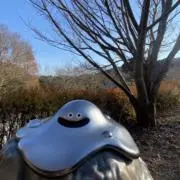 いちの画像