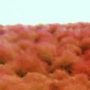 ラスカル