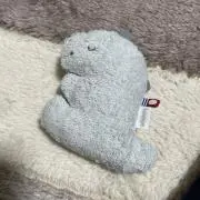 RINNAの画像