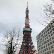 kdbwnの画像