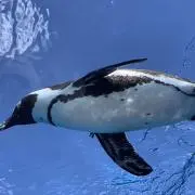 断捨離中の画像