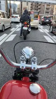 かめの画像