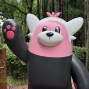 soの画像