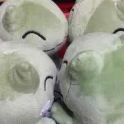 ペンタロ