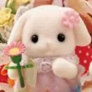 ♡Floraうさぎ♡の画像