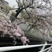 はるママの画像