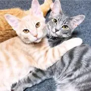 (°▽°)