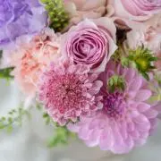 Jasmineの画像