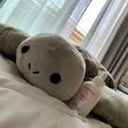 __moe__の画像