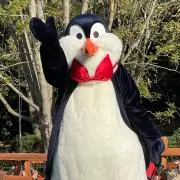 yu ))購入者様プロフィール必読の画像