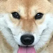 とも