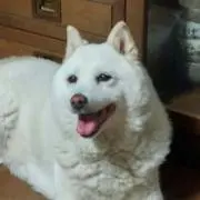 nao
