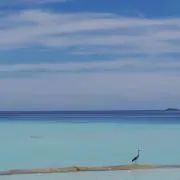 まき(*´ω`*)の画像